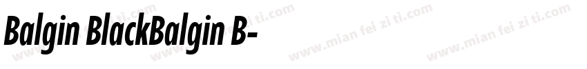 Balgin BlackBalgin B字体转换